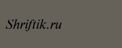 NewtonC Italic 
